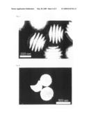 Nanodisk Comprising Block Copolymer diagram and image