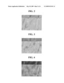 COMPOSITION FOR DIELECTRIC LAYER OF PLASMA DISPLAY PANEL AND PLASMA DISPLAY PANEL INCLUDING THE SAME diagram and image