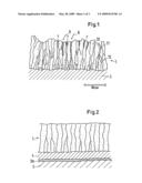 Method For The Generation Of A Functional Layer diagram and image