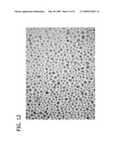 ENZYMES IMMOBILIZED IN HYDROPHOBICALLY MODIFIED POLYSACCHARIDES diagram and image