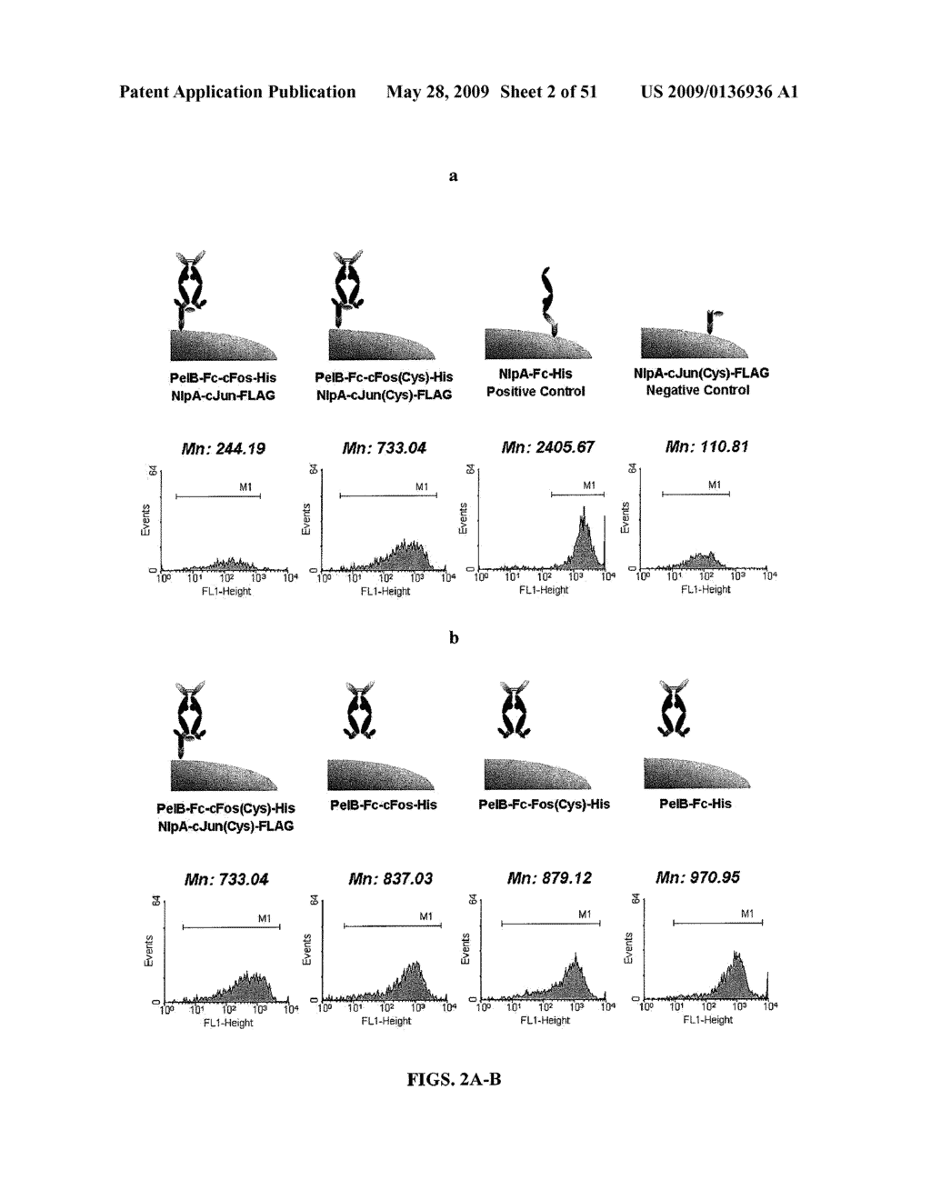 IMMUNOGLOBULIN FC LIBRARIES - diagram, schematic, and image 03