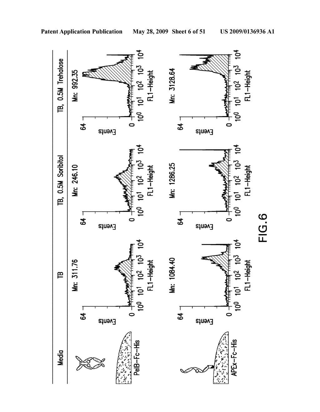 IMMUNOGLOBULIN FC LIBRARIES - diagram, schematic, and image 07