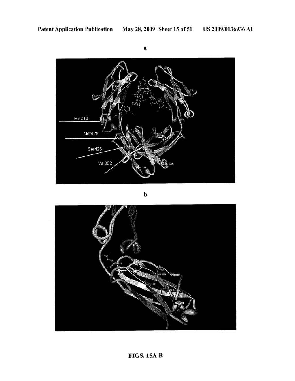 IMMUNOGLOBULIN FC LIBRARIES - diagram, schematic, and image 16