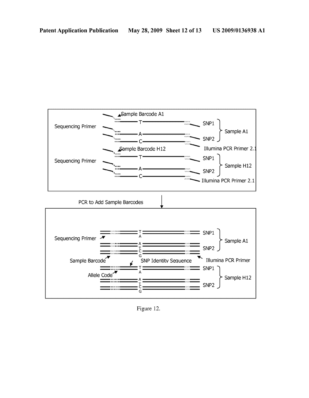 METHODS FOR SEQUENCE-DIRECTED MOLECULAR BREEDING - diagram, schematic, and image 13