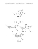 PHOSPHORAMIDITE NUCLEOSIDE ANALOGS diagram and image