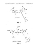 PHOSPHORAMIDITE NUCLEOSIDE ANALOGS diagram and image