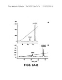 PHOSPHORAMIDITE NUCLEOSIDE ANALOGS diagram and image