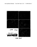 PHOSPHORAMIDITE NUCLEOSIDE ANALOGS diagram and image