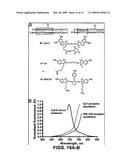 PHOSPHORAMIDITE NUCLEOSIDE ANALOGS diagram and image