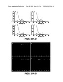 PHOSPHORAMIDITE NUCLEOSIDE ANALOGS diagram and image