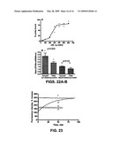 PHOSPHORAMIDITE NUCLEOSIDE ANALOGS diagram and image