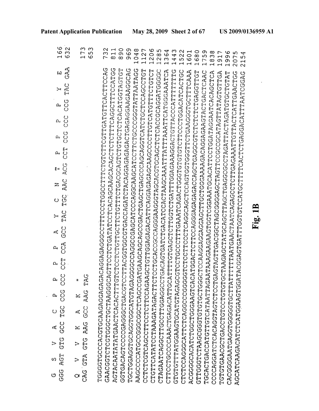 Novel genes encoding proteins having prognostic, diagnostic preventive, therapeutic, and other uses - diagram, schematic, and image 03