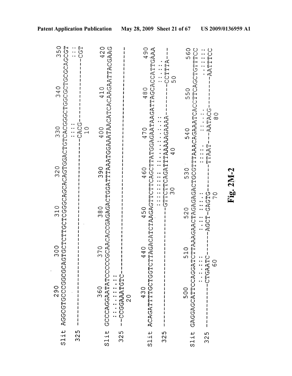 Novel genes encoding proteins having prognostic, diagnostic preventive, therapeutic, and other uses - diagram, schematic, and image 22