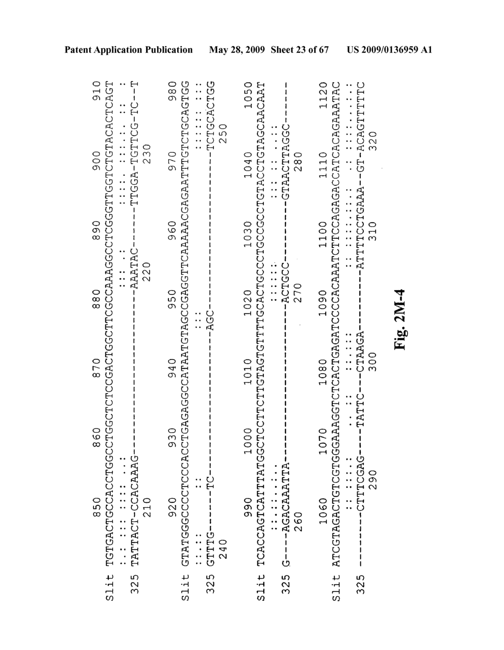 Novel genes encoding proteins having prognostic, diagnostic preventive, therapeutic, and other uses - diagram, schematic, and image 24