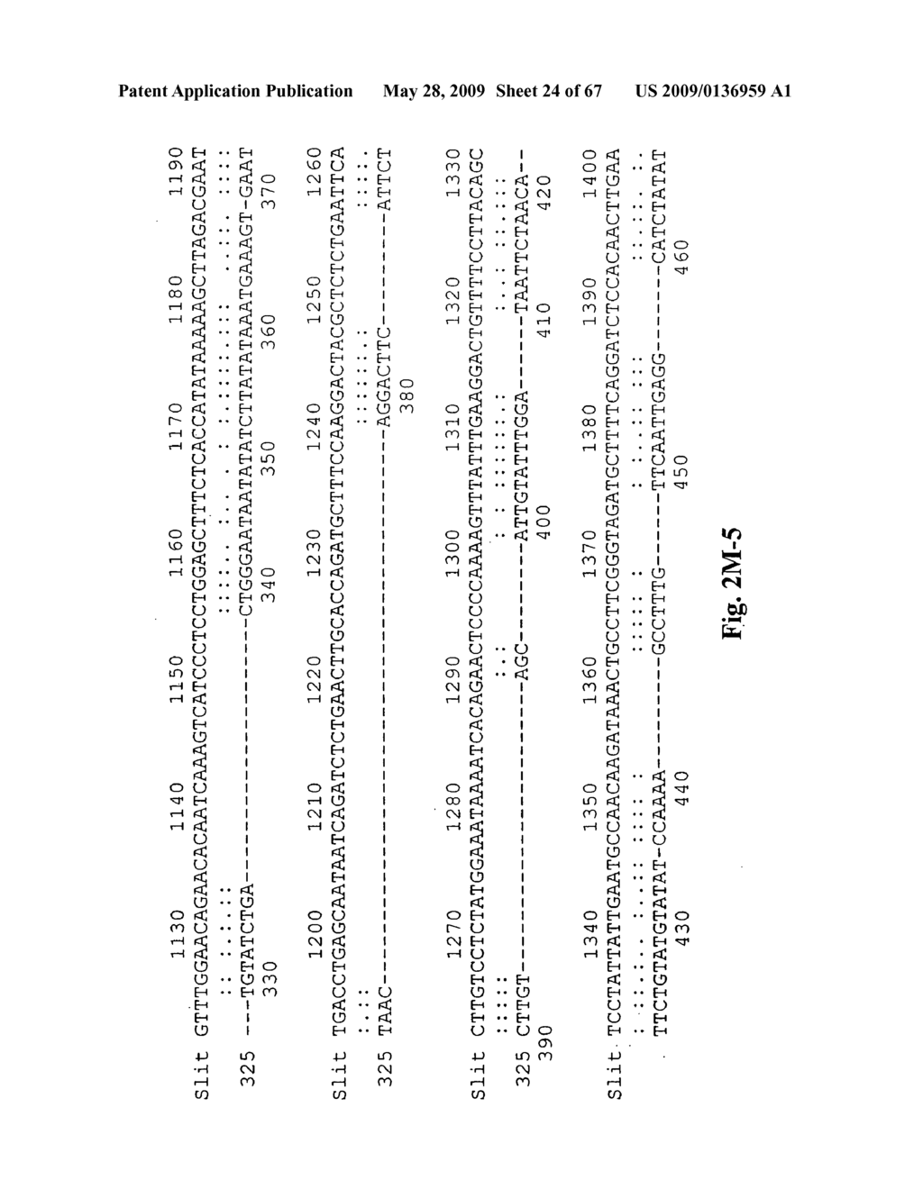 Novel genes encoding proteins having prognostic, diagnostic preventive, therapeutic, and other uses - diagram, schematic, and image 25