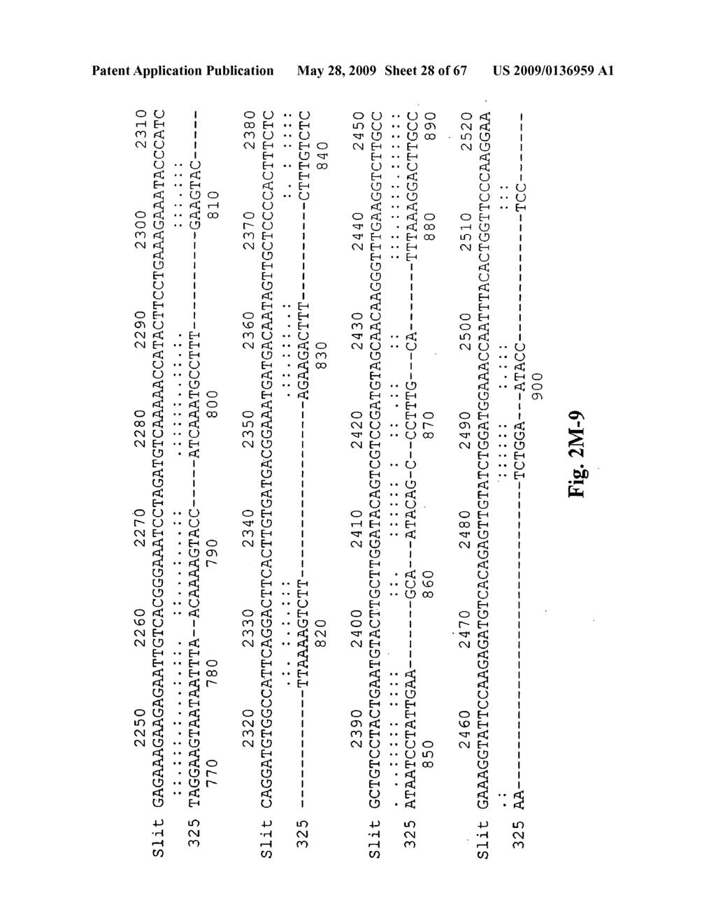 Novel genes encoding proteins having prognostic, diagnostic preventive, therapeutic, and other uses - diagram, schematic, and image 29