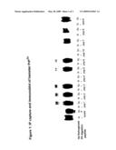 Peptides for Discrimination of Prions diagram and image