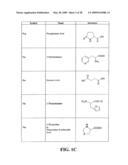 CD10-activated prodrug compounds diagram and image