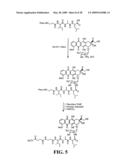 CD10-activated prodrug compounds diagram and image