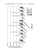 CD10-activated prodrug compounds diagram and image