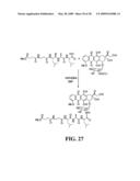 CD10-activated prodrug compounds diagram and image