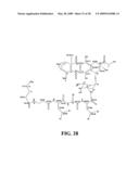 CD10-activated prodrug compounds diagram and image