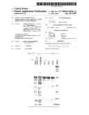 Novel cysteine-depleted hydrophobin fusion proteins, their production and use thereof diagram and image