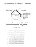 Novel cysteine-depleted hydrophobin fusion proteins, their production and use thereof diagram and image