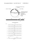 Novel cysteine-depleted hydrophobin fusion proteins, their production and use thereof diagram and image