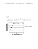 MICROORGANISMS AND METHODS FOR INCREASED HYDROGEN PRODUCTION USING DIVERSE CARBONACEOUS FEEDSTOCK AND HIGHLY ABSORPTIVE MATERIALS diagram and image