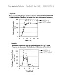 MICROORGANISMS AND METHODS FOR INCREASED HYDROGEN PRODUCTION USING DIVERSE CARBONACEOUS FEEDSTOCK AND HIGHLY ABSORPTIVE MATERIALS diagram and image