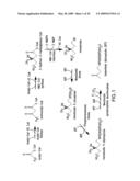 PRODUCTION OF ISOPRENOIDS diagram and image