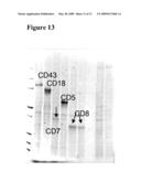 MULTICOLORED PARTICLES diagram and image