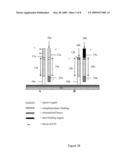 DETECTION OF NUCLEIC ACID BIOMARKERS USING POLYMERIZATION-BASED AMPLIFICATION diagram and image