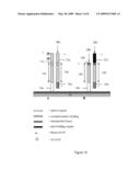 DETECTION OF NUCLEIC ACID BIOMARKERS USING POLYMERIZATION-BASED AMPLIFICATION diagram and image