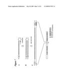 RNA INTERFERENCE MEDIATED INHIBITION OF ANGIOPOIETIN GENE EXPRESSION USING SHORT INTERFERING NUCLEIC ACID (siNA) diagram and image