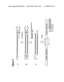 RNA INTERFERENCE MEDIATED INHIBITION OF ANGIOPOIETIN GENE EXPRESSION USING SHORT INTERFERING NUCLEIC ACID (siNA) diagram and image