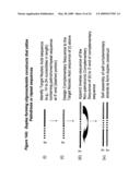 RNA INTERFERENCE MEDIATED INHIBITION OF ANGIOPOIETIN GENE EXPRESSION USING SHORT INTERFERING NUCLEIC ACID (siNA) diagram and image