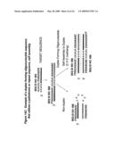 RNA INTERFERENCE MEDIATED INHIBITION OF ANGIOPOIETIN GENE EXPRESSION USING SHORT INTERFERING NUCLEIC ACID (siNA) diagram and image