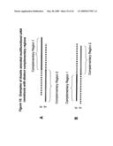 RNA INTERFERENCE MEDIATED INHIBITION OF ANGIOPOIETIN GENE EXPRESSION USING SHORT INTERFERING NUCLEIC ACID (siNA) diagram and image