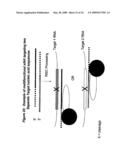 RNA INTERFERENCE MEDIATED INHIBITION OF ANGIOPOIETIN GENE EXPRESSION USING SHORT INTERFERING NUCLEIC ACID (siNA) diagram and image