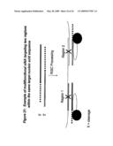 RNA INTERFERENCE MEDIATED INHIBITION OF ANGIOPOIETIN GENE EXPRESSION USING SHORT INTERFERING NUCLEIC ACID (siNA) diagram and image