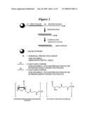 RNA INTERFERENCE MEDIATED INHIBITION OF POLYCOMB GROUP PROTEIN EZH2 GENE EXPRESSION USING SHORT INTERFERING NUCLEIC ACID (siNA) diagram and image