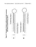 RNA INTERFERENCE MEDIATED INHIBITION OF POLYCOMB GROUP PROTEIN EZH2 GENE EXPRESSION USING SHORT INTERFERING NUCLEIC ACID (siNA) diagram and image