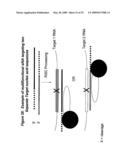 RNA INTERFERENCE MEDIATED INHIBITION OF POLYCOMB GROUP PROTEIN EZH2 GENE EXPRESSION USING SHORT INTERFERING NUCLEIC ACID (siNA) diagram and image