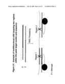 RNA INTERFERENCE MEDIATED INHIBITION OF POLYCOMB GROUP PROTEIN EZH2 GENE EXPRESSION USING SHORT INTERFERING NUCLEIC ACID (siNA) diagram and image