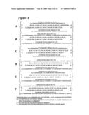 RNA INTERFERENCE MEDIATED INHIBITION OF PROLIFERATION CELL NUCLEAR ANTIGEN (PCNA) GENE EXPRESSION USING SHORT INTERFERING NUCLEIC ACID (siNA) diagram and image