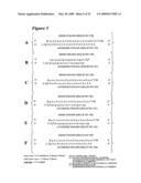 RNA INTERFERENCE MEDIATED INHIBITION OF PROLIFERATION CELL NUCLEAR ANTIGEN (PCNA) GENE EXPRESSION USING SHORT INTERFERING NUCLEIC ACID (siNA) diagram and image