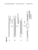 RNA INTERFERENCE MEDIATED INHIBITION OF PROLIFERATION CELL NUCLEAR ANTIGEN (PCNA) GENE EXPRESSION USING SHORT INTERFERING NUCLEIC ACID (siNA) diagram and image