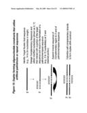 RNA INTERFERENCE MEDIATED INHIBITION OF PROLIFERATION CELL NUCLEAR ANTIGEN (PCNA) GENE EXPRESSION USING SHORT INTERFERING NUCLEIC ACID (siNA) diagram and image